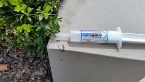 Optigard Ant Gel
