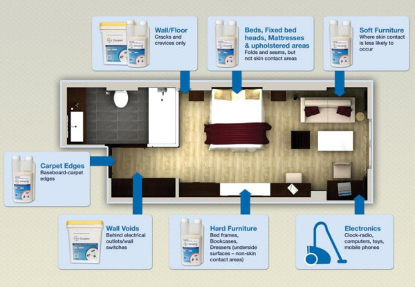 Bed Bug Treatment Areas