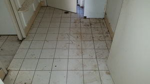 Dirty floor tiles