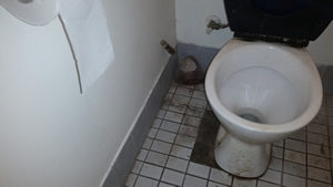 Dirty Toilet2