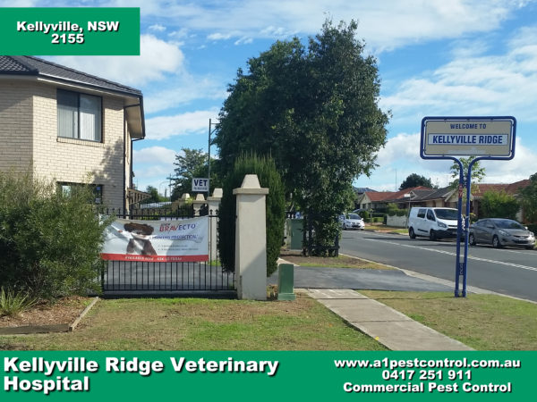 Kellyville Ridge Vet