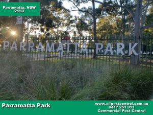 Parramatta Park 2