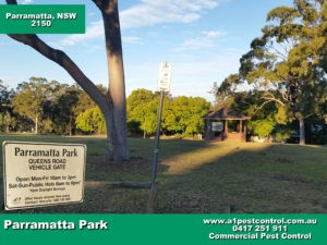 Parramatta Park