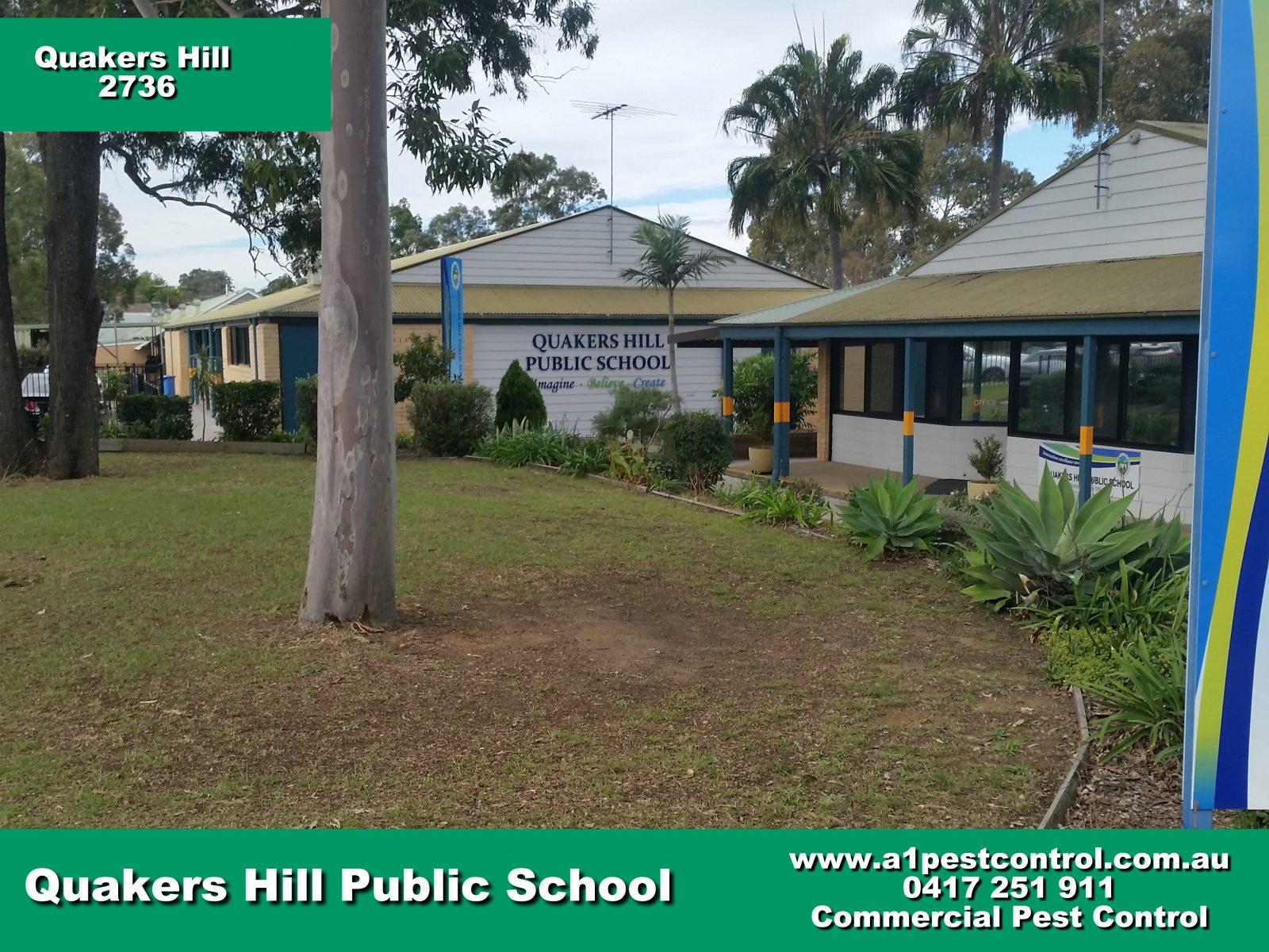 A1 Pest Control Quakers Hill Termite Inspection Pest Treatment