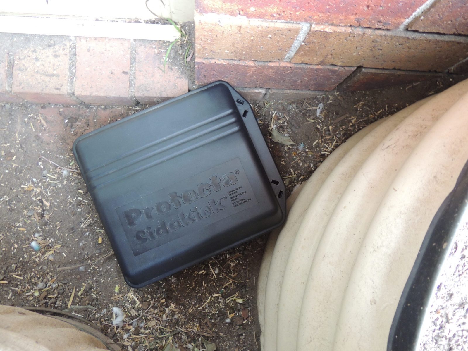 Commercial Rodent Control Sydney