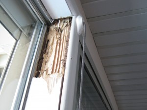 steel-framed-house-termite-damage