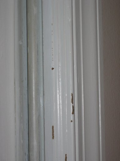 termite-damaged-paintwork-small