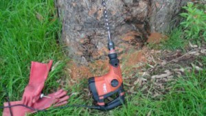 termite-drill-small