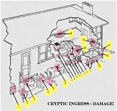 termite ingress diagram