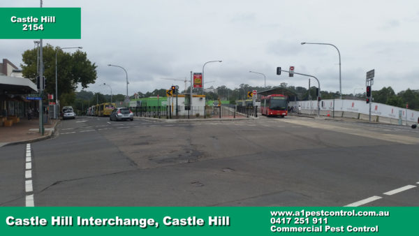 Castle Hill Bus Interchange, picture taken opposite Yogurtberry