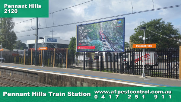 Pennant Hills Station
