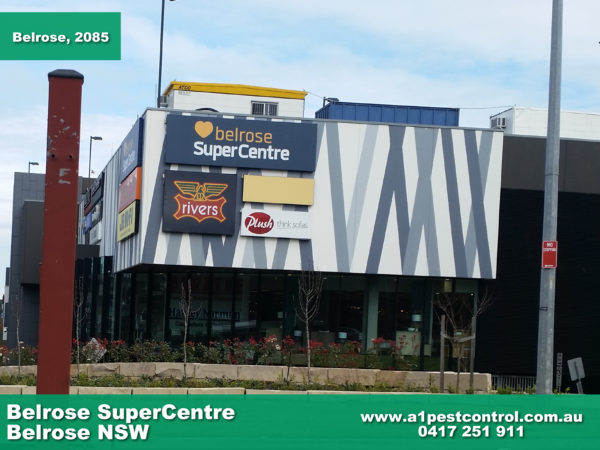 Belrose SuperCentre, a great place to do your weekly shop as it has a wide variety of shops that cover almost everything you could need! 