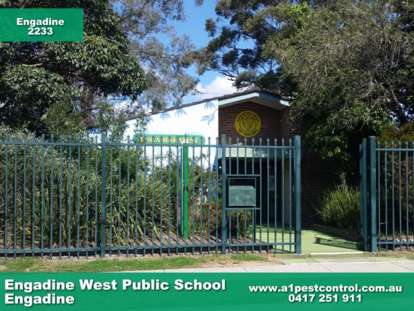 Engadine West Public School.