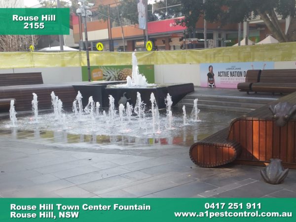 Picture of the Water Feature and Fountains in Rouse Hill Town Centre