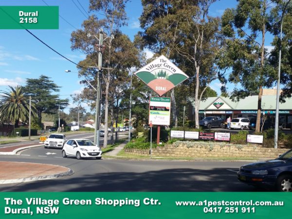 Picture of The Village Green (Dural) Entry and Roundabout