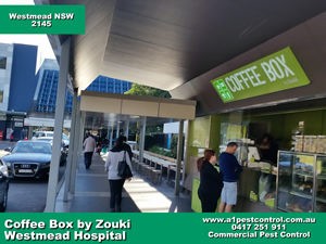Westmead Hospital Coffee BoxSmall