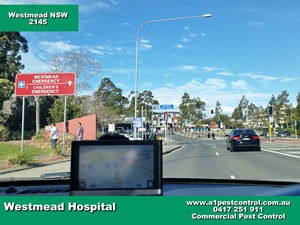 Westmead Hospital