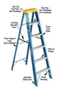Pest Control Ladder Safety