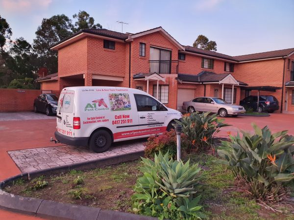 Blacktown pest control