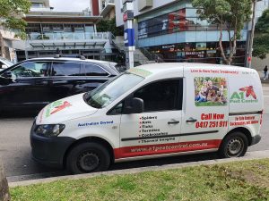 Balgowlah a1 pest control