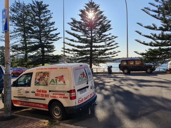 A1 pest control Bondi