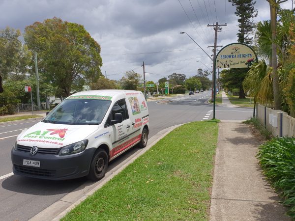 a1 pest control Berowra heights