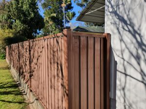 Spiders on fence 