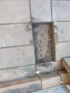 Termites Bella vista
