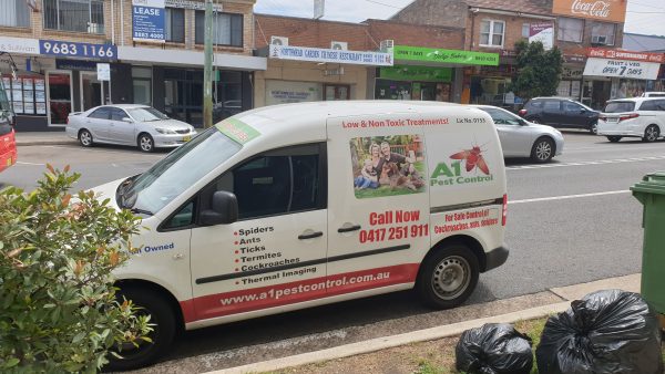 a1 pest control Northmead area