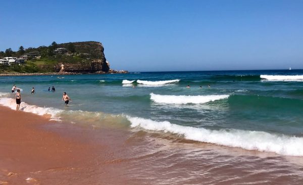 Avalon beach surfers