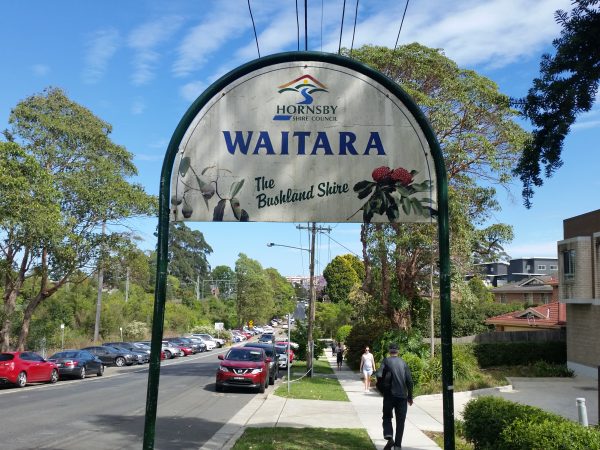 pest control waitara