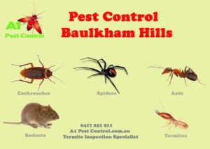 A1 Pest Identification Card Baulkham Hills