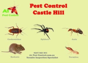 A1 Pest Identification Card Castle Hill