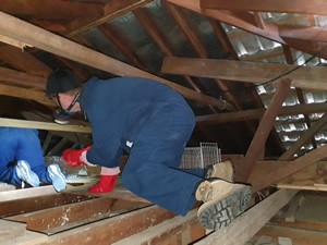 Inspecting the roof