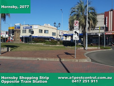 Hornsby Shopping Strip