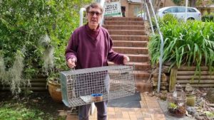 Possum Trap Hire Sydney