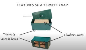 Above Ground Termite Traps