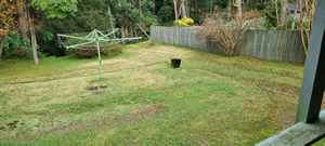 Asquith Cut Grass