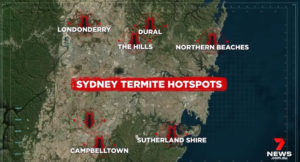 Sydney Termite Hot Spots