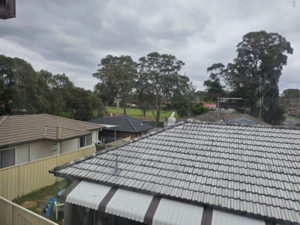 Termite Inspection of Trees in Reserve Using Binoculars