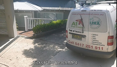 Ticks Pest Control Palm Beach