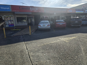 Commercial Pest Control Casula