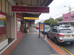 Commercial Pest Management Willoughby