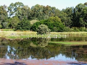 Shortland, Australia