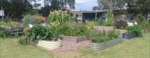 Tighes Hill Community Garden