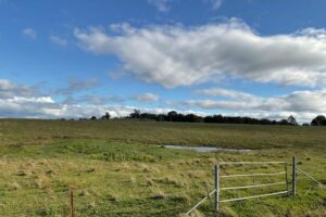 707 Real Estate Properties for Sale in Anambah