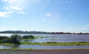 Nelsons Plains, New South Wales