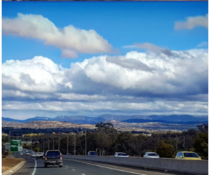 Majura Peast Control Solutions