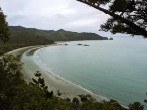 A Quick Guide to the Best Cape Hillsborough 