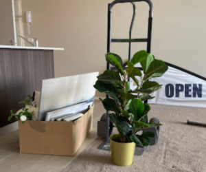 Pest Control Wright ACT